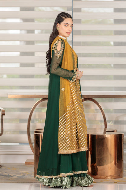 3 Piece Ready to Wear   Luxury Embroidered Chiffon Sharara Set