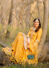 Pure Handmade Saffron Gharara Set – Perfect Bridal wear (Mayaon Dress)