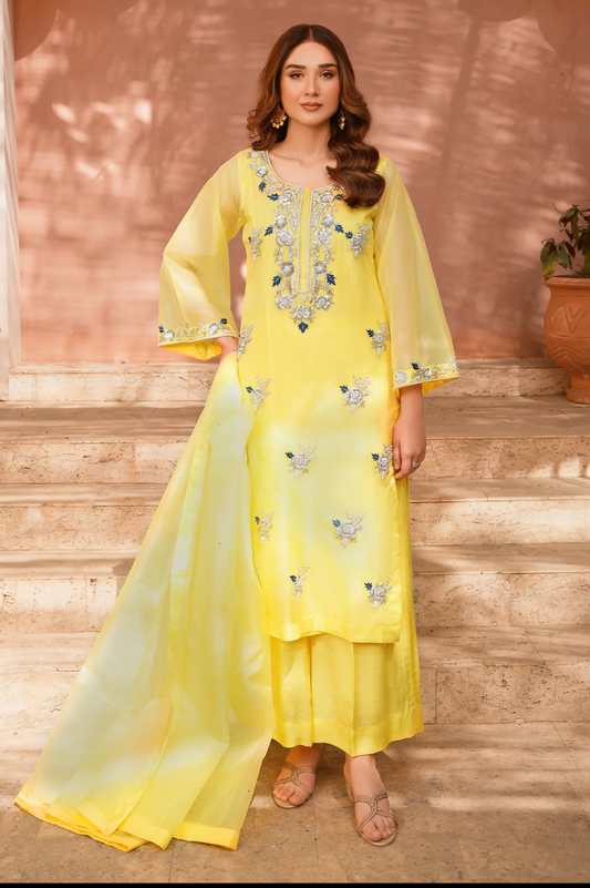 3PC Ready-to-Wear Pure Organza  Dress with Hand Embellished Adda Work